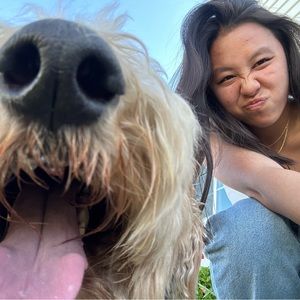 Wildflower Cases (IPhone 11) Being Listed